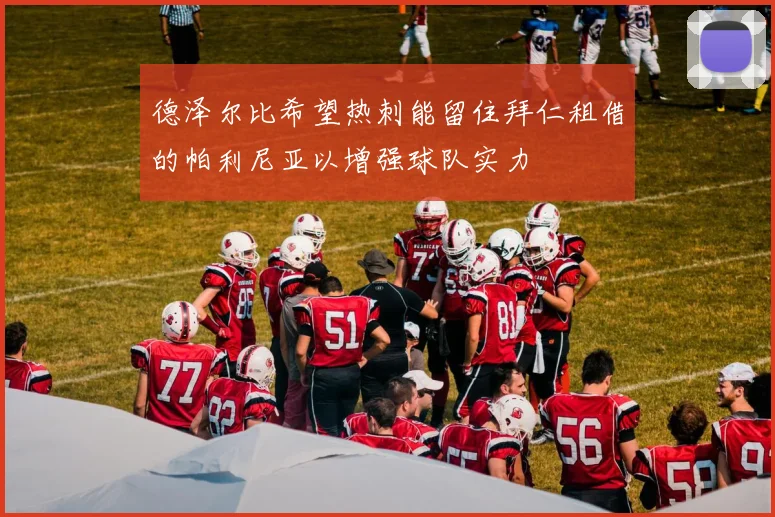 德泽尔比希望热刺能留住拜仁租借的帕利尼亚以增强球队实力